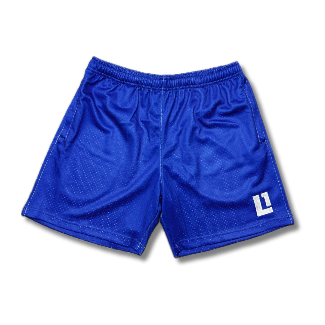 Mesh Shorts (Blue)